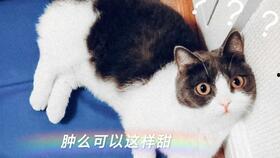 娱乐圈cp吃瓜直播,揭秘明星恋情幕后真相